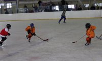 img_2248_ 